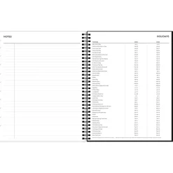 Blue Sky 2025 Fran 8.5