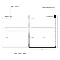 Blue Sky 2025 Fran 8.5