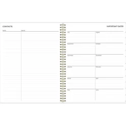 Blue Sky 2024-2025 Gemma 8.5