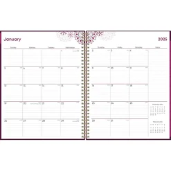 Blue Sky 2025 Gili 8.5