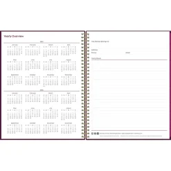 Blue Sky 2025 Gili 8.5