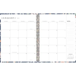 Blue Sky 2025 Green Earth Effie 8.5