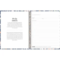 Blue Sky 2025 Green Earth Effie 8.5