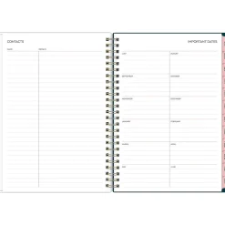 Blue Sky 2023-2024 Greta 6.44