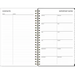 Blue Sky 2025 Hadley 5