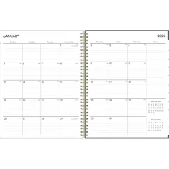 Blue Sky 2025 Hadley 8.5