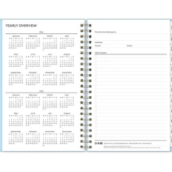 Blue Sky 2024-2025 Jordy 5