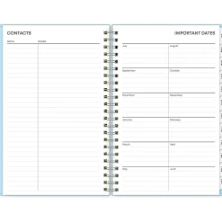 Blue Sky 2024-2025 Jordy 5