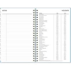 Blue Sky 2024-2025 Jordy 5