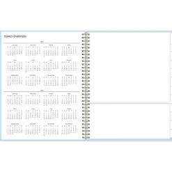 Blue Sky 2024-2025 Jordy Blue 8.5
