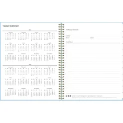 Blue Sky 2024-2025 Jordy Blue 8.5