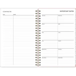 Blue Sky 2025 Julissa 8.5