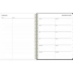 Blue Sky 2025 Katya 8.5