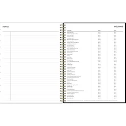 Blue Sky 2025 Katya 8.5