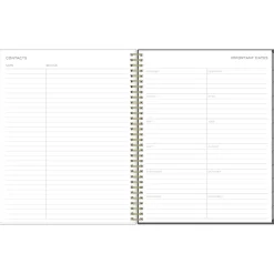 Blue Sky 2025 Kelly Ventura Midnight Garden 8.5