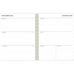 Blue Sky 2025 Laurel 8.5" x 11" Weekly & Monthly Planner, Plastic Cover, Mint Green (135842-25) Hot