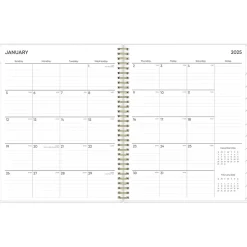 Blue Sky 2025 Laurel 8.5