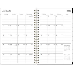 Blue Sky 2025 Leafy Lounge 5