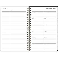 Blue Sky 2025 Leafy Lounge 5