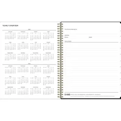 Blue Sky 2025 Leafy Lounge 8.5