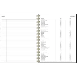 Blue Sky 2025 Leafy Lounge 8.5