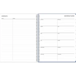 Blue Sky 2025 Lindley 8.5