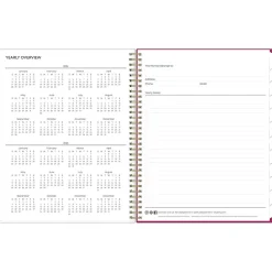 Blue Sky 2024-2025 Mahalo 8.5