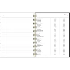 Blue Sky 2024-2025 Nyla 8.5