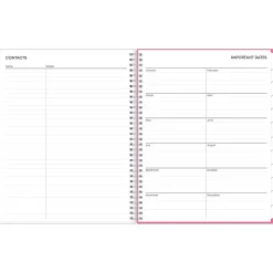 Blue Sky 2025 Orchid 8.5