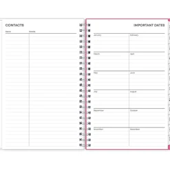 Blue Sky 2025 Orchid 5