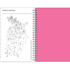 Blue Sky 2025 Orchid 5