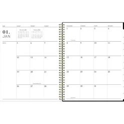 Blue Sky 2025 Petiti 8.5