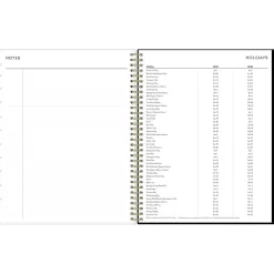 Blue Sky 2025 Petiti 8.5