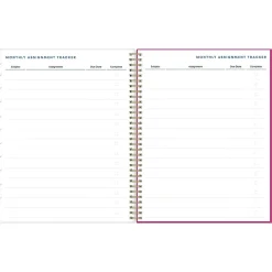 Blue Sky 2023-2024 Plans & Things Confetti Bright 8.5