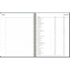 Blue Sky 2024-2025 Pucker 8.5