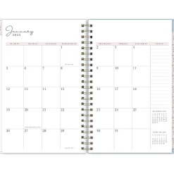 Blue Sky 2025 Rachel Parcell Parcella 5