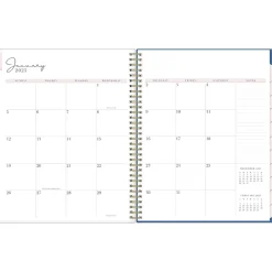 Blue Sky 2025 Rachel Parcell Tressa 8.5