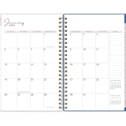 Blue Sky 2025 Rachel Parcell Tressa 5