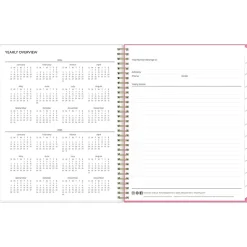 Blue Sky 2024-2025 Roosevelt 8.5