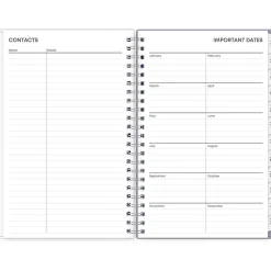 Blue Sky 2025 Rue Du Flore 5