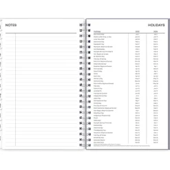 Blue Sky 2025 Rue Du Flore 5