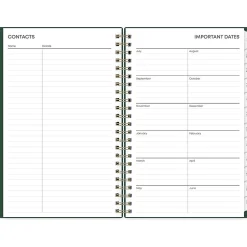 Blue Sky 2024-2025 Shining Sky 5