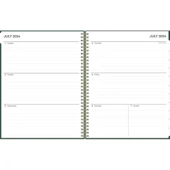 Blue Sky 2024-2025 Shining Sky 8.5" x 11" Academic Weekly & Monthly Planner, Plastic Cover, Dark Green/Gold (150002) Online