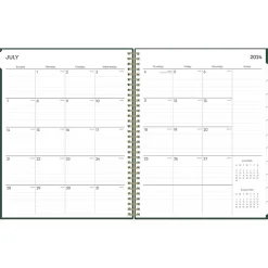 Blue Sky 2024-2025 Shining Sky 8.5