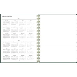 Blue Sky 2024-2025 Shining Sky 8.5