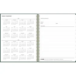 Blue Sky 2024-2025 Shining Sky 8.5