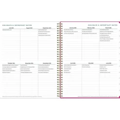 Blue Sky 2024-2025 Star Confetti Bright 8.5