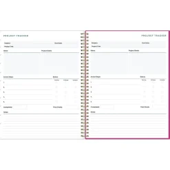 Blue Sky 2024-2025 Star Confetti Bright 8.5