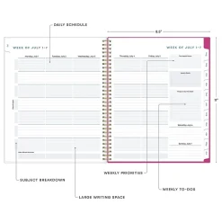 Blue Sky 2024-2025 Star Confetti Bright 8.5