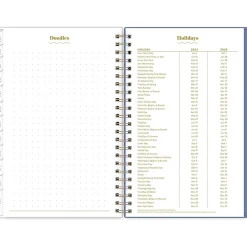 Blue Sky 2024-2025 The House That Lars Built Blue Stripe 8.5